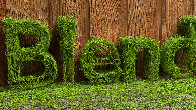 Blender Vine Animation Text